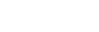 Enemy Automotive